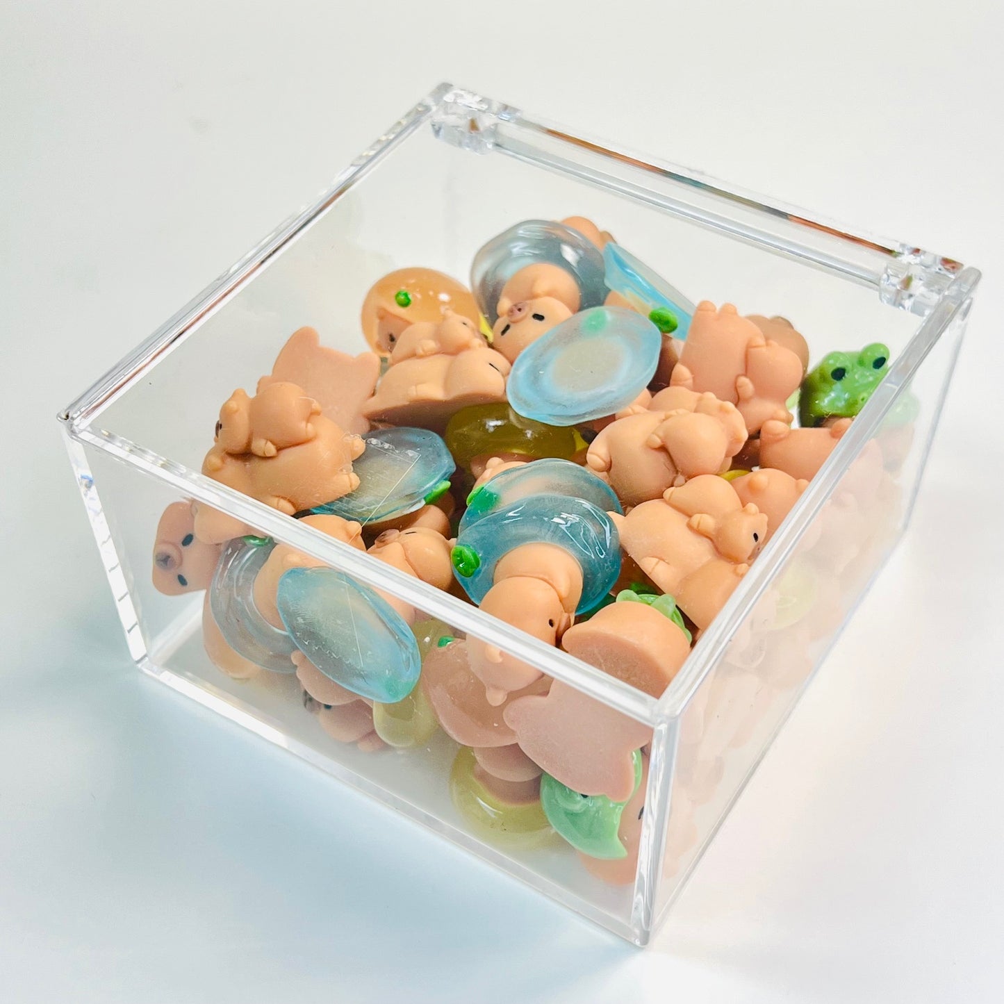 71915 Cute Capybara Miniature Figurines-50