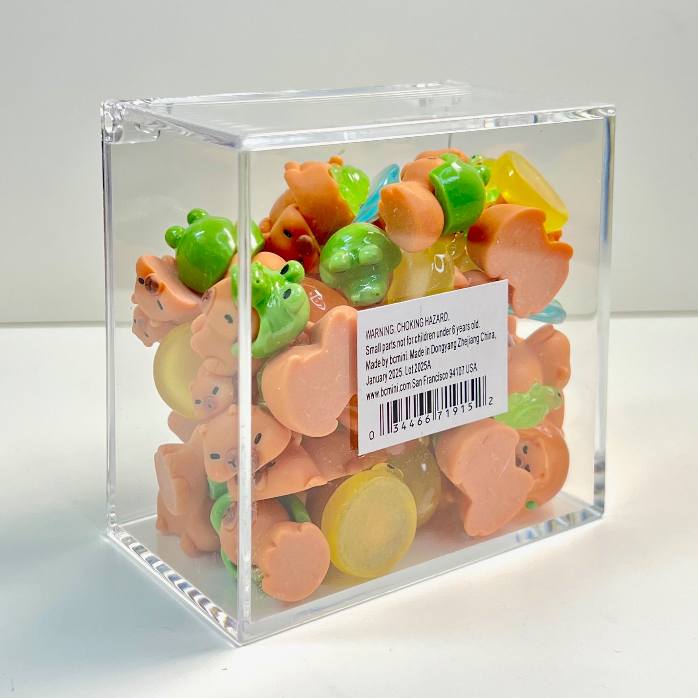 71915 Cute Capybara Miniature Figurines-50