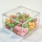 71922 Animals Assorted Miniature Figurines-50