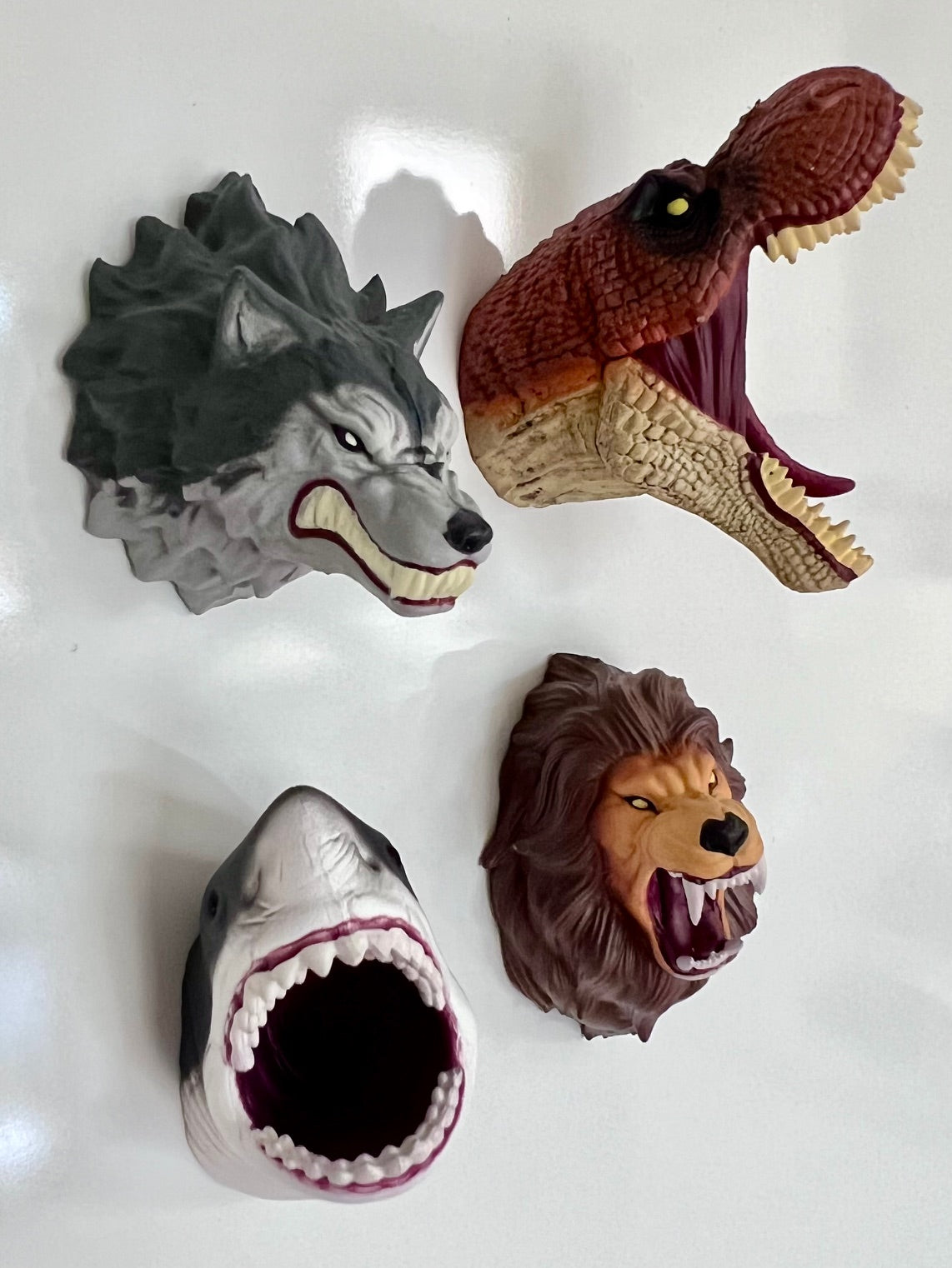 73012 ANIMAL HEADS MAGNET BLIND BOX-8