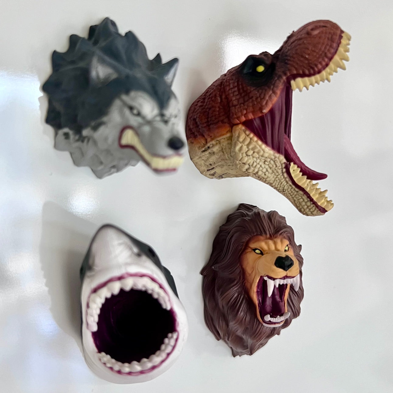 73012 ANIMAL HEADS MAGNET BLIND BOX-8