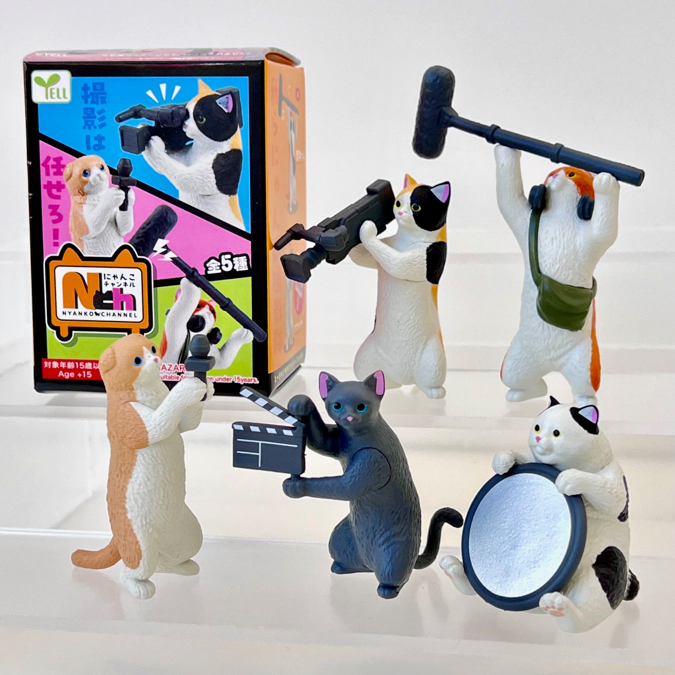 73019 Social Media Cat Blind Box - 10