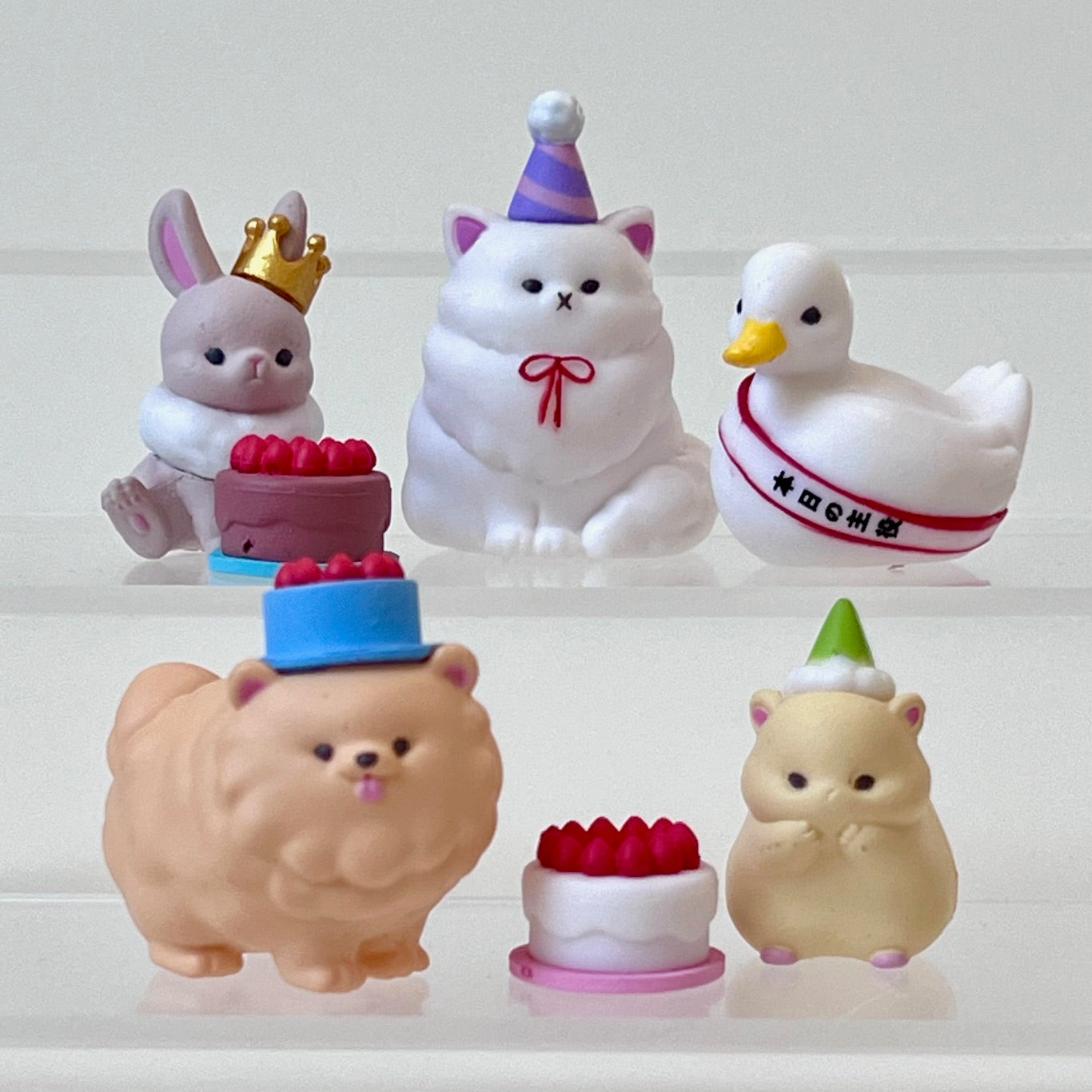 73021 Birthday Blind Box - 10