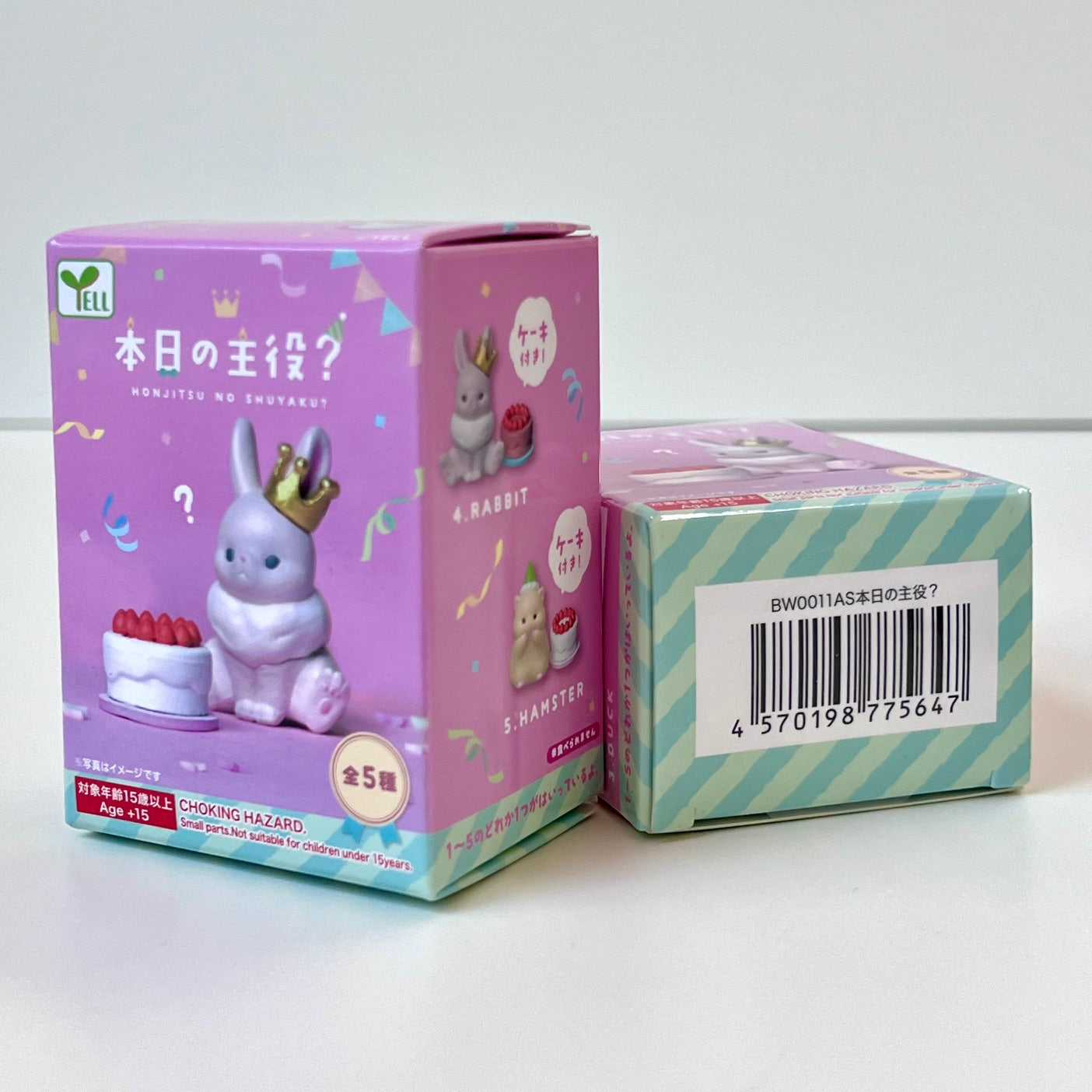 73021 Birthday Blind Box - 10