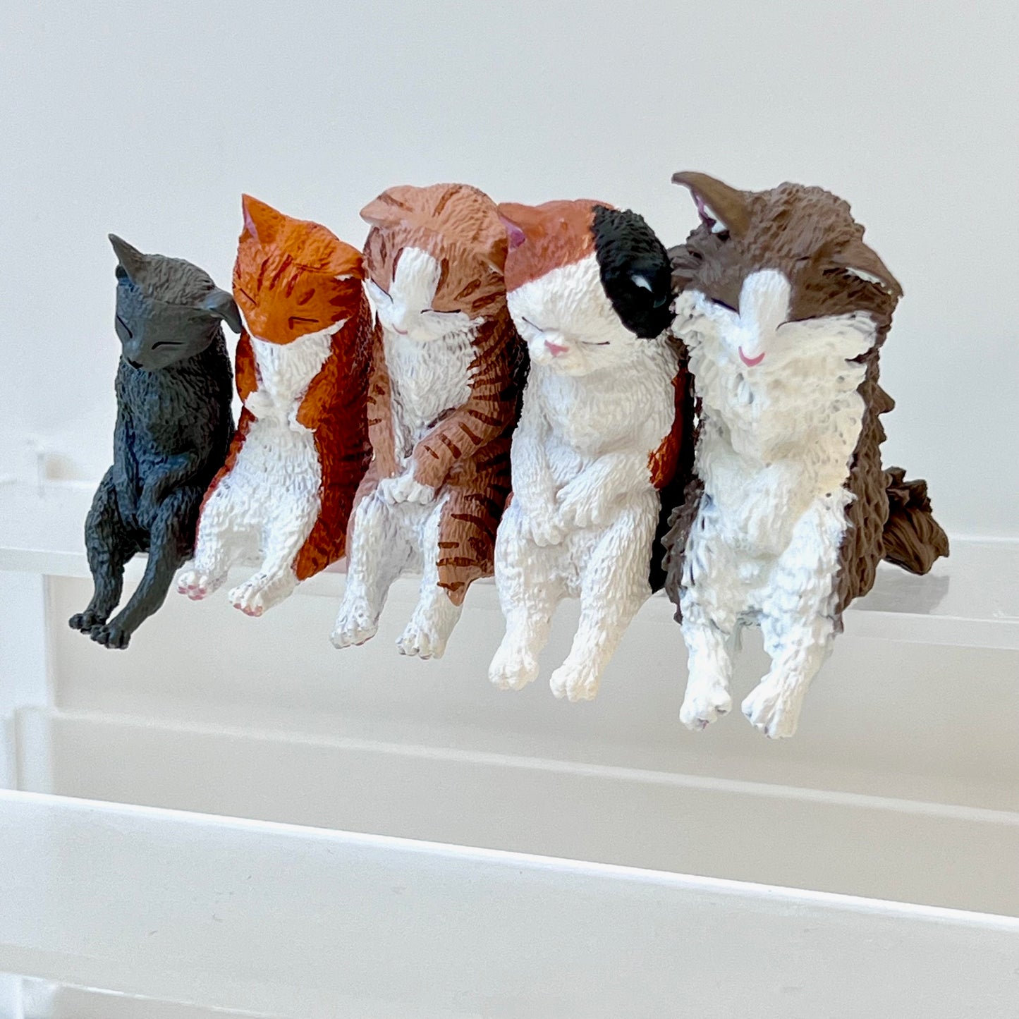 73093 Sleep Leaning Cats Blind Box-10