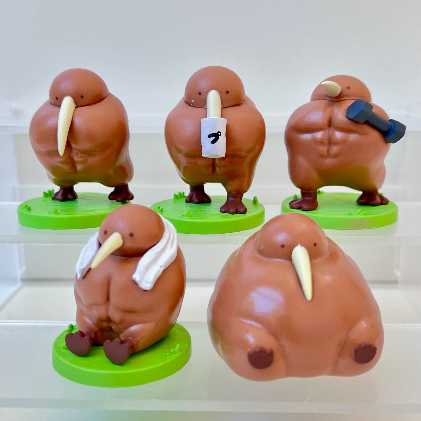 73094 Muscle Kiwi Blind Box-10 – BCmini