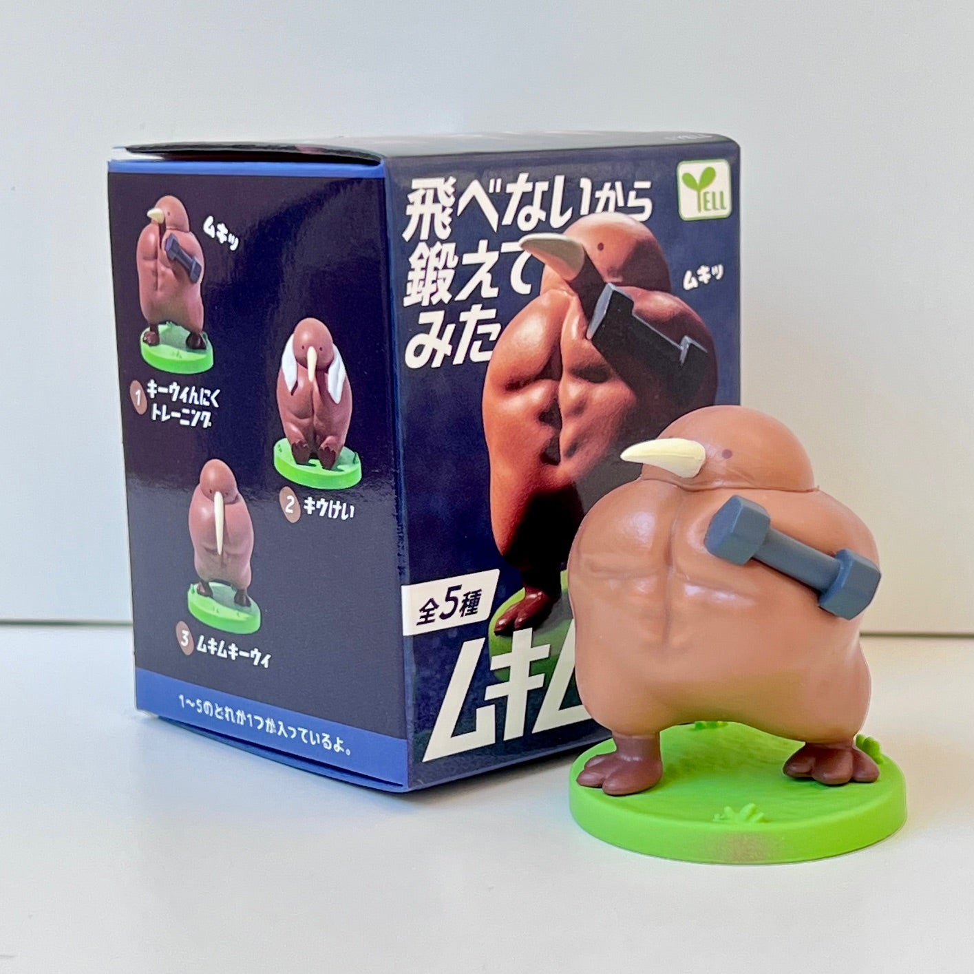73094 Muscle Kiwi Blind Box-10 – BCmini