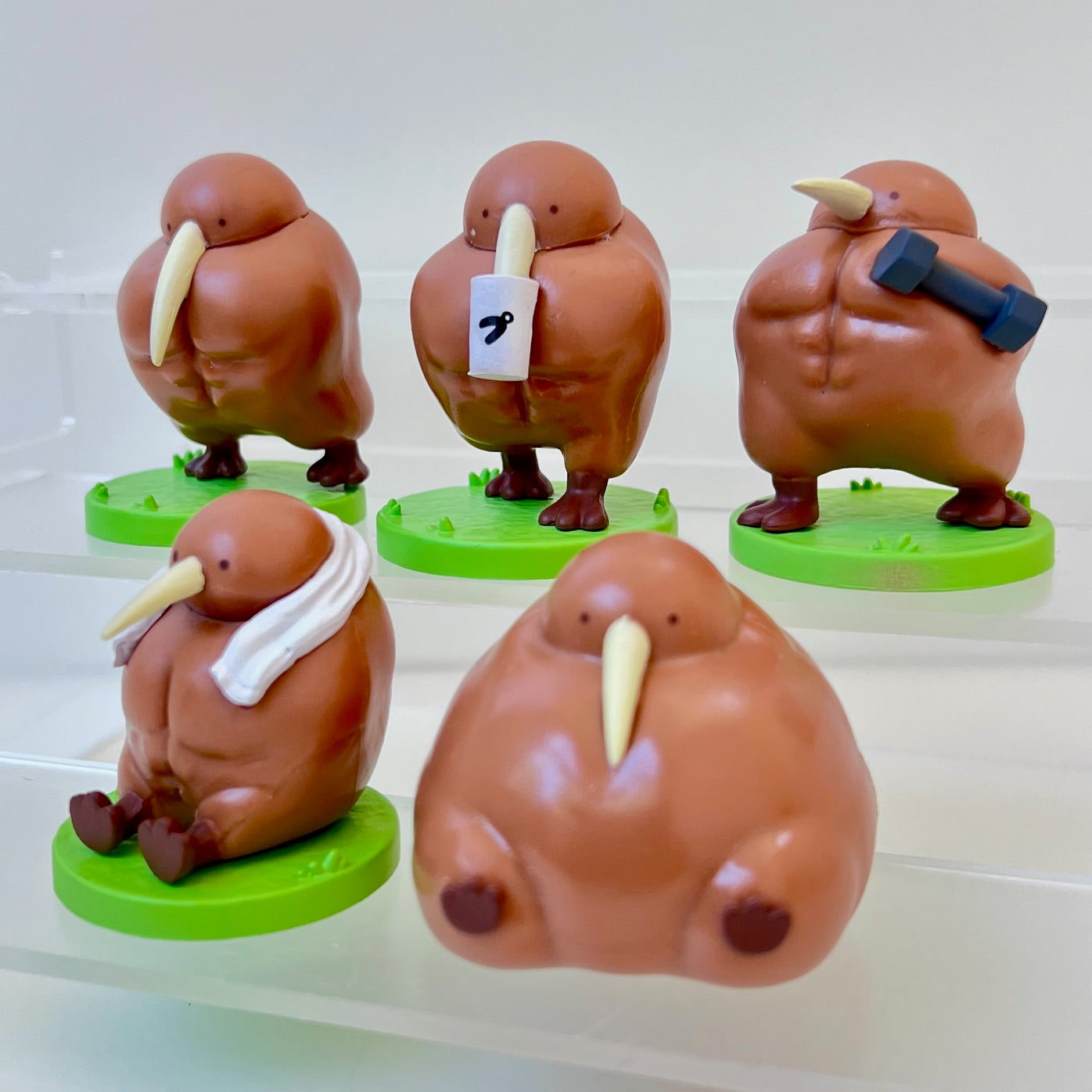 73094 Muscle Kiwi Blind Box-10 – BCmini