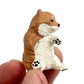 73097 Sitting Shiba Inu Dogs Blind Box-10