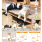 73097 Sitting Shiba Inu Dogs Blind Box-10