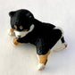 73097 Sitting Shiba Inu Dogs Blind Box-10
