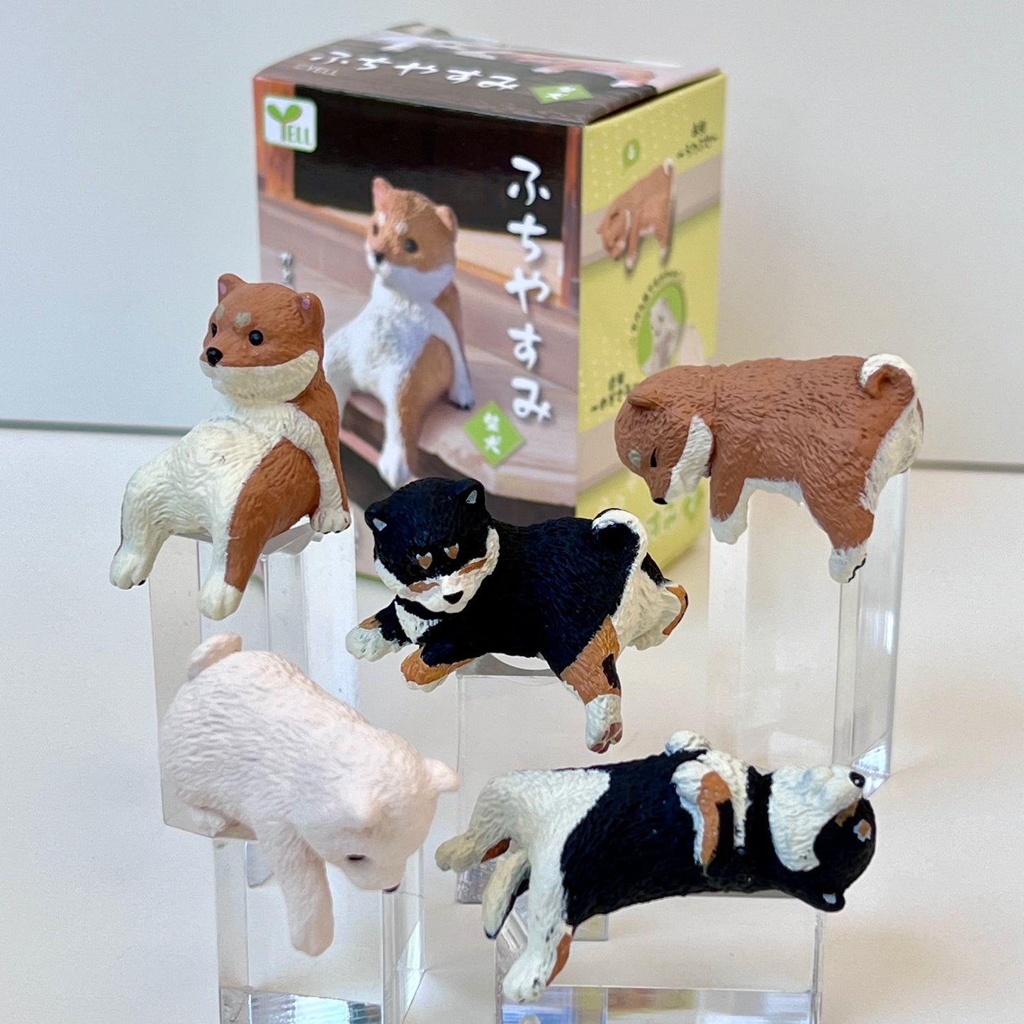 73097 Sitting Shiba Inu Dogs Blind Box-10