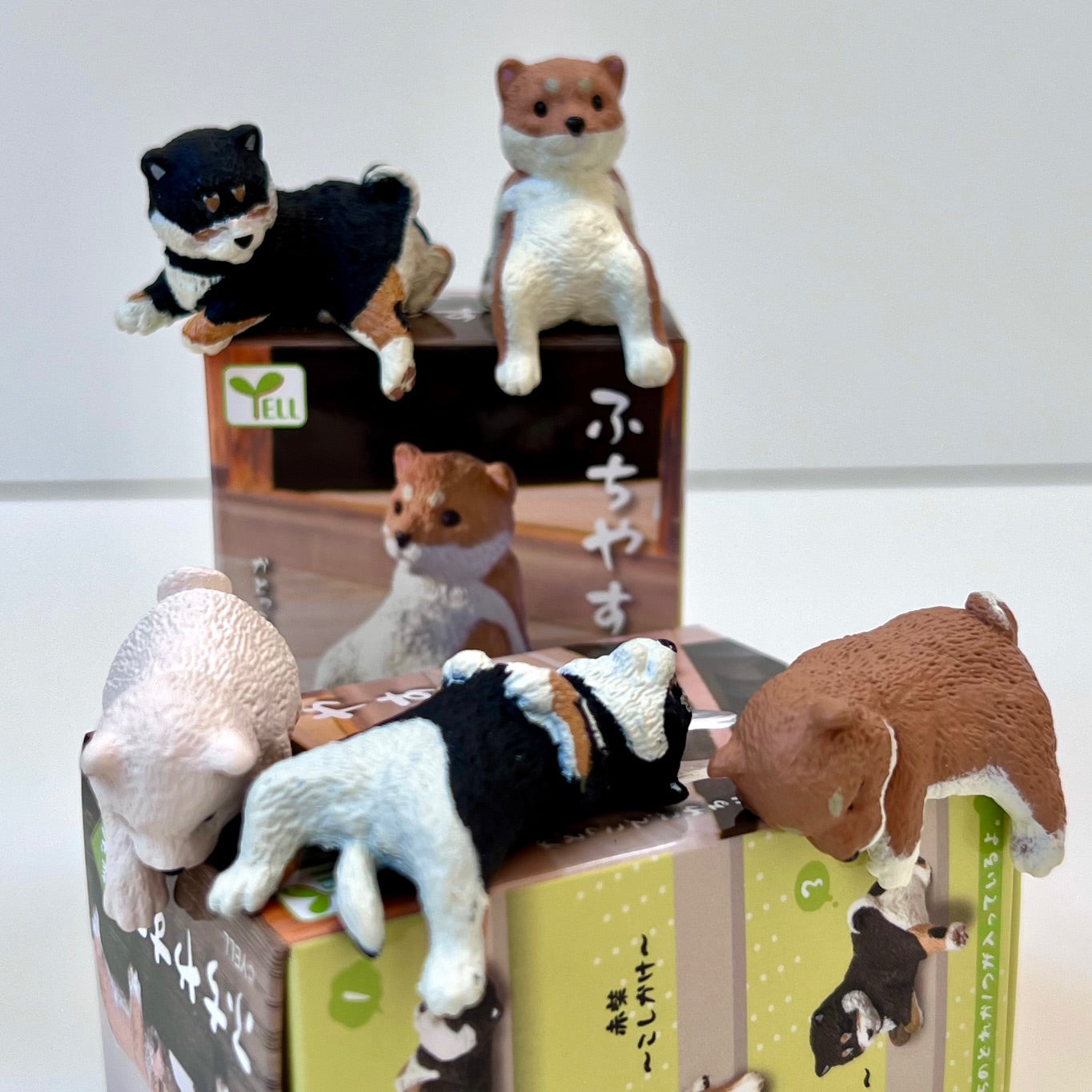 73097 Sitting Shiba Inu Dogs Blind Box-10