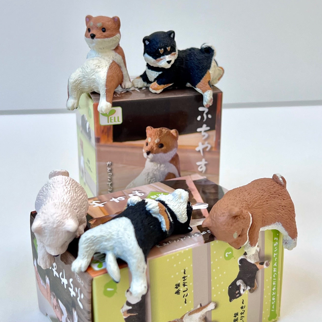 73097 Sitting Shiba Inu Dogs Blind Box-10