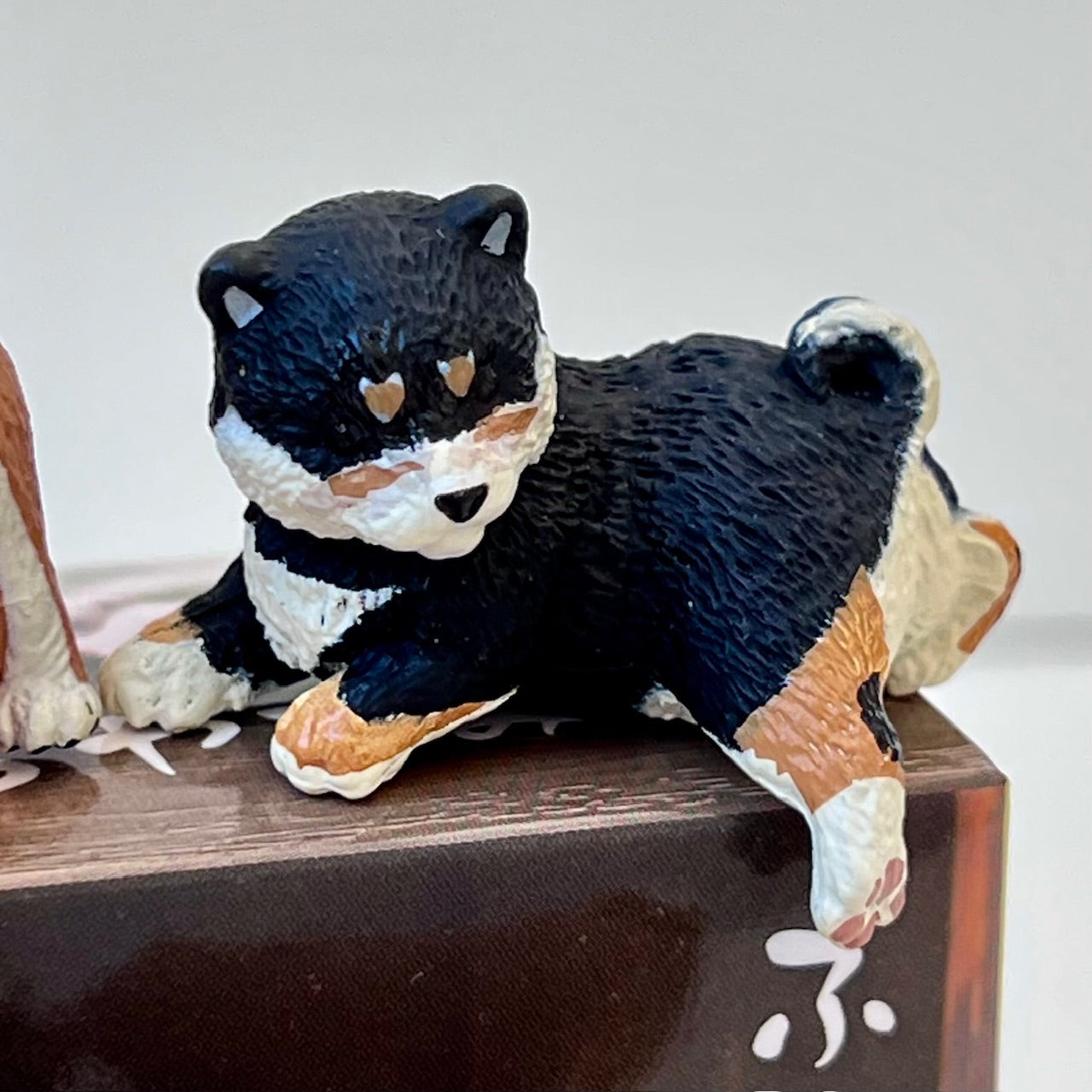 73097 Sitting Shiba Inu Dogs Blind Box-10