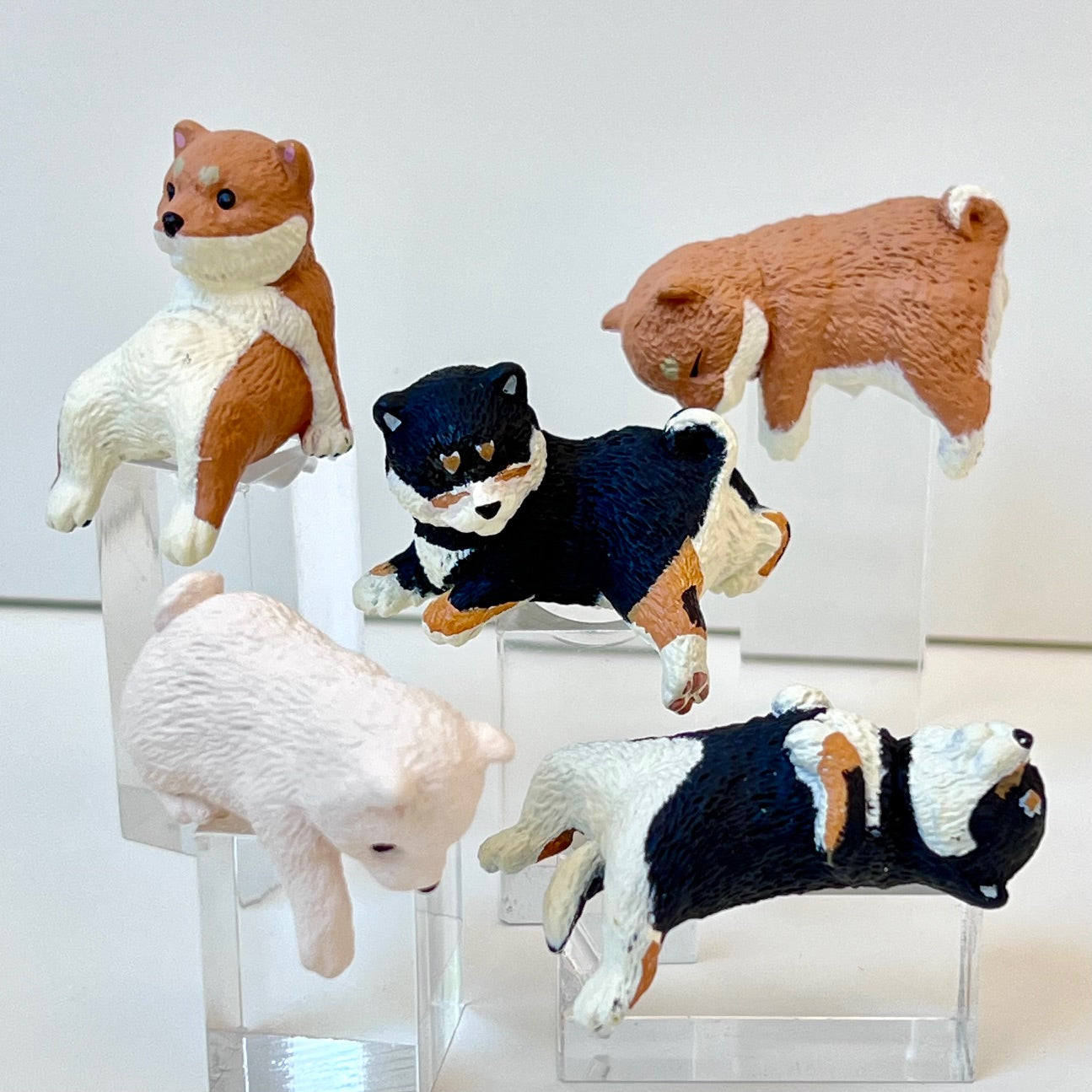 73097 Sitting Shiba Inu Dogs Blind Box-10