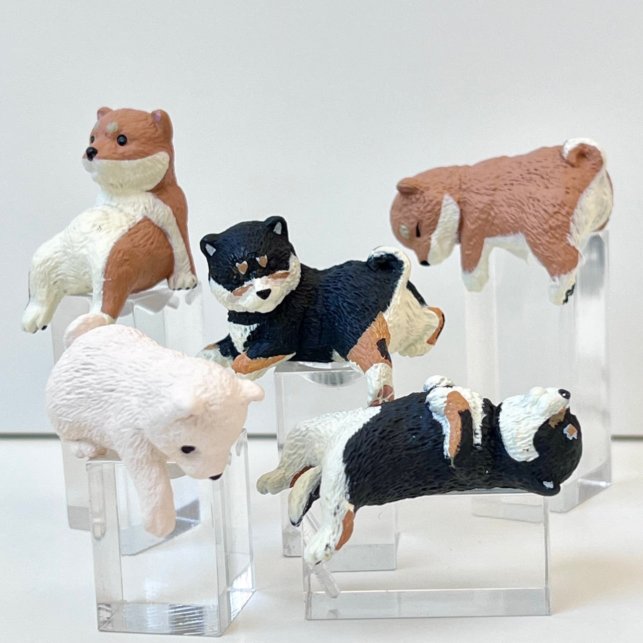 73097 Sitting Shiba Inu Dogs Blind Box-10