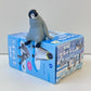 73098 Sitting Penguins Blind Box-10