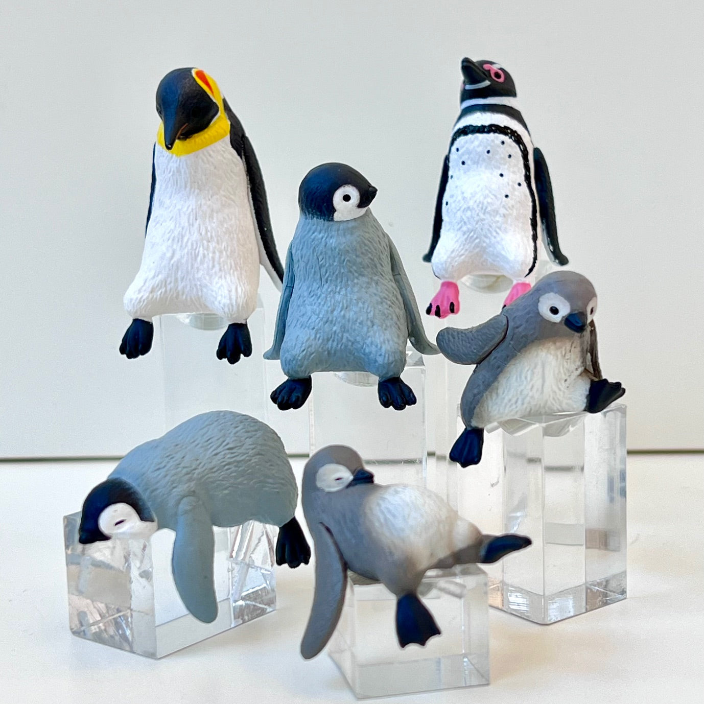 73098 Sitting Penguins Blind Box-10