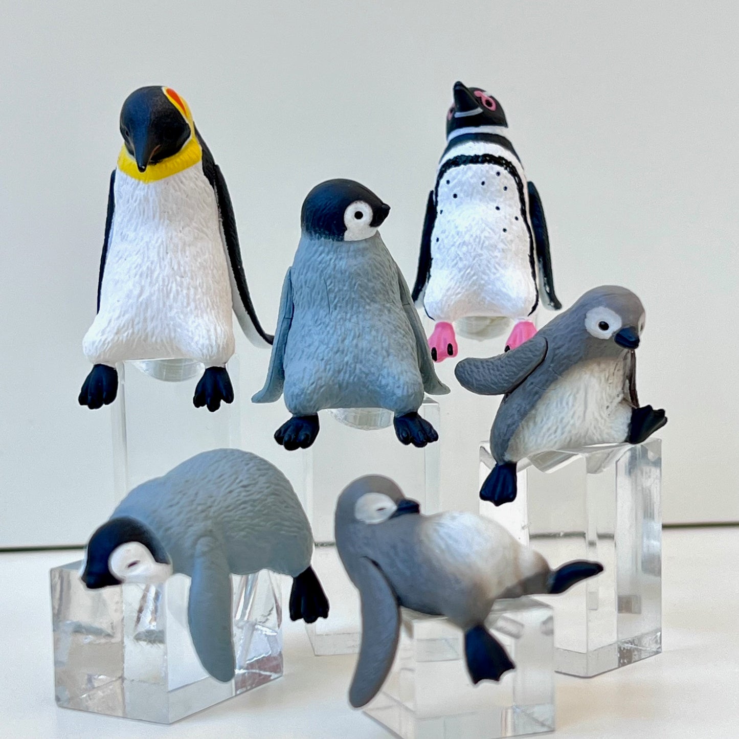 73098 Sitting Penguins Blind Box-10