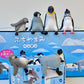 73098 Sitting Penguins Blind Box-10