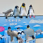 73098 Sitting Penguins Blind Box-10