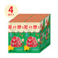 731023 Miniature School Field Trip Supplies Blind Box-12