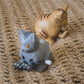 73108 Wind-Up Fumi Fumi Cats Blind Box-12