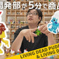 73110 Living Dead Pudding and Jelly Blind Box-4