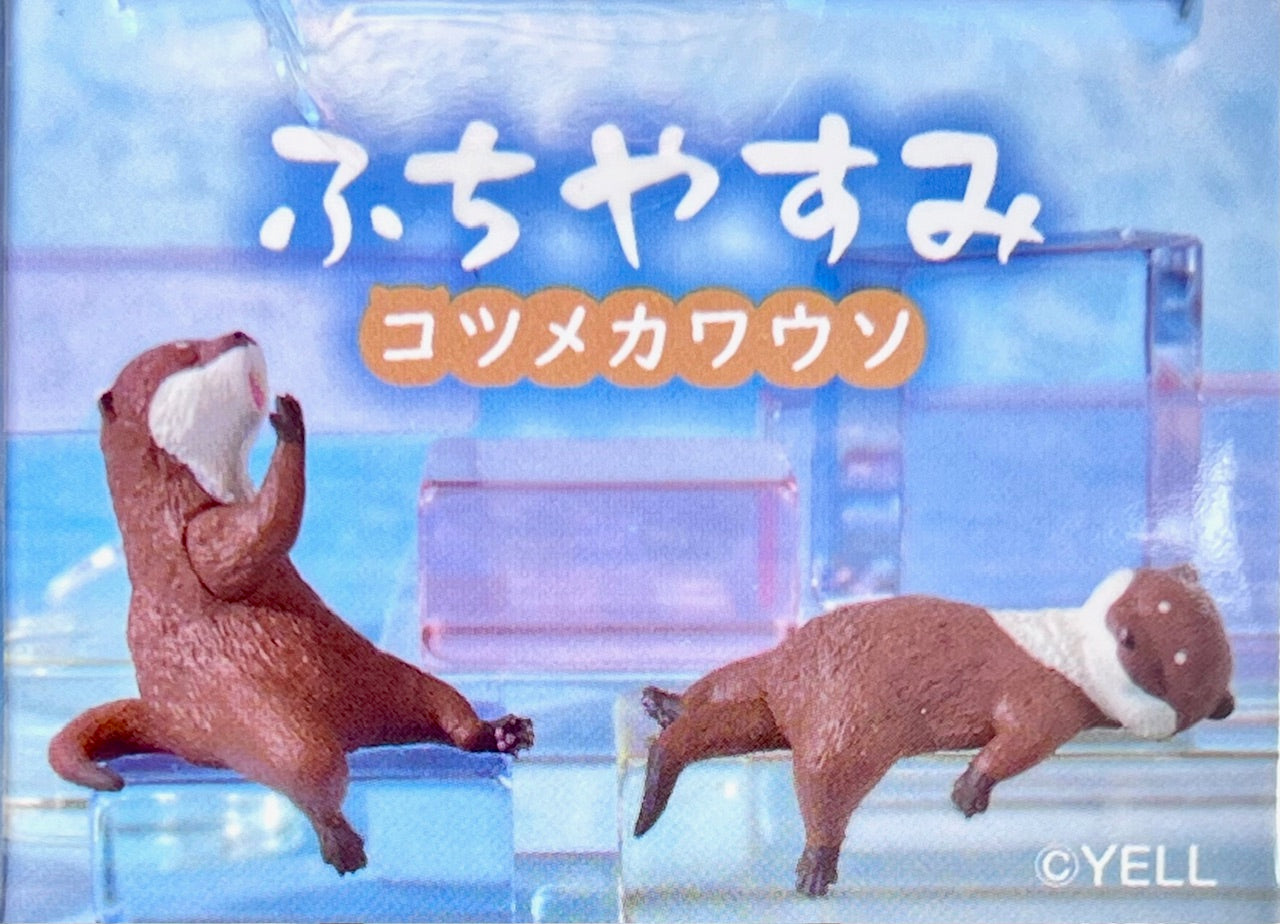 73114 Playful Otters Blind Box-10