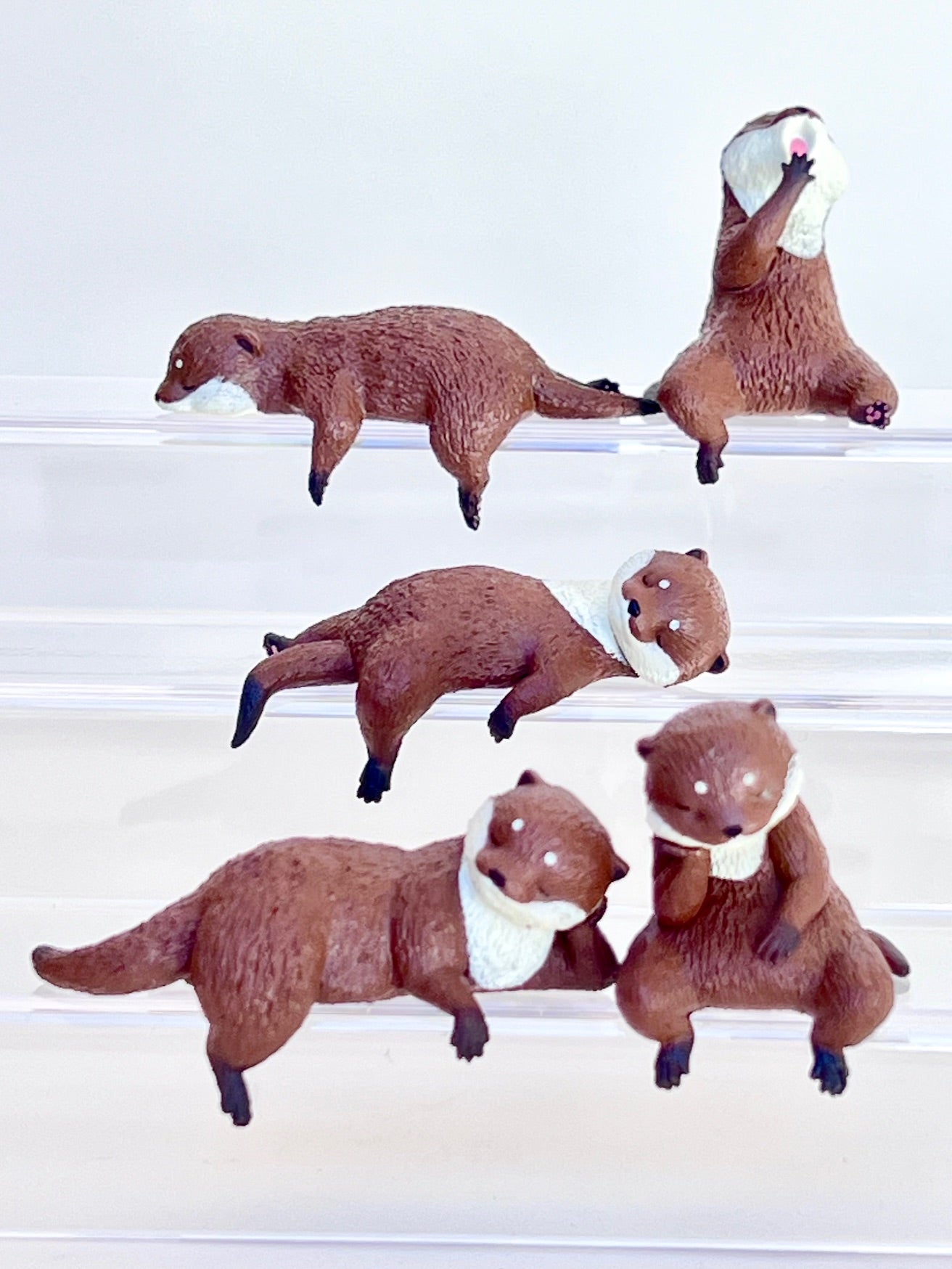 73114 Playful Otters Blind Box-10