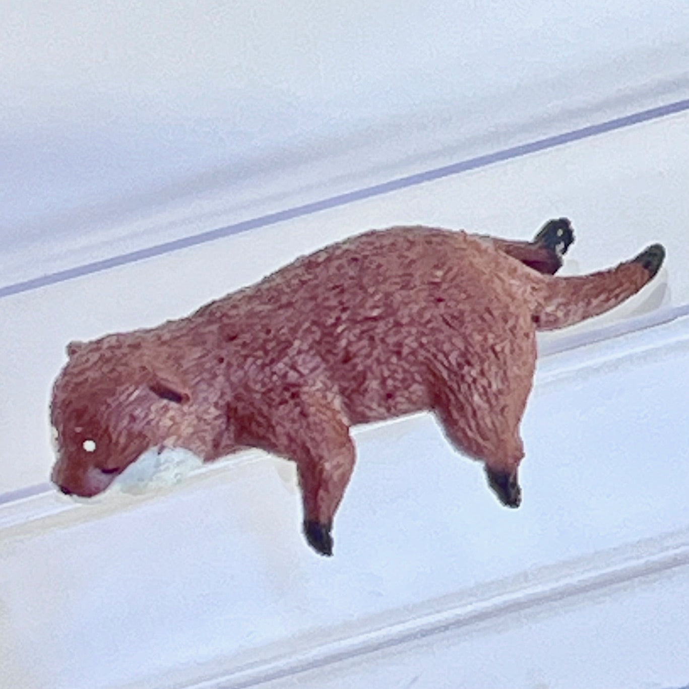 73114 Playful Otters Blind Box-10