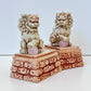 73115 Lion Guardian Blind Box-12