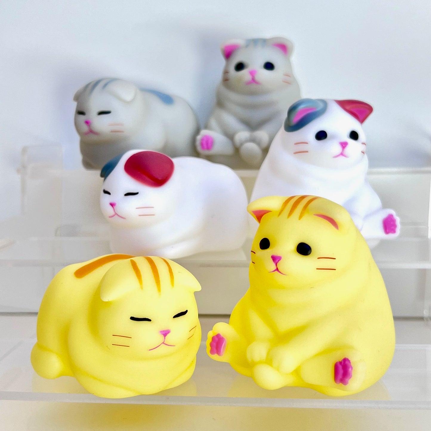73138 Soft Kitten Cat Blind Box-12