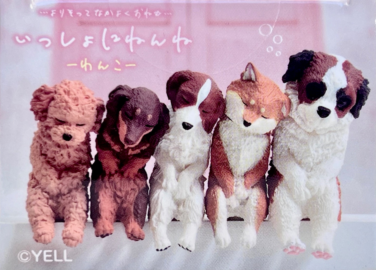 73140 Sleeping Dogs Blind Box-10