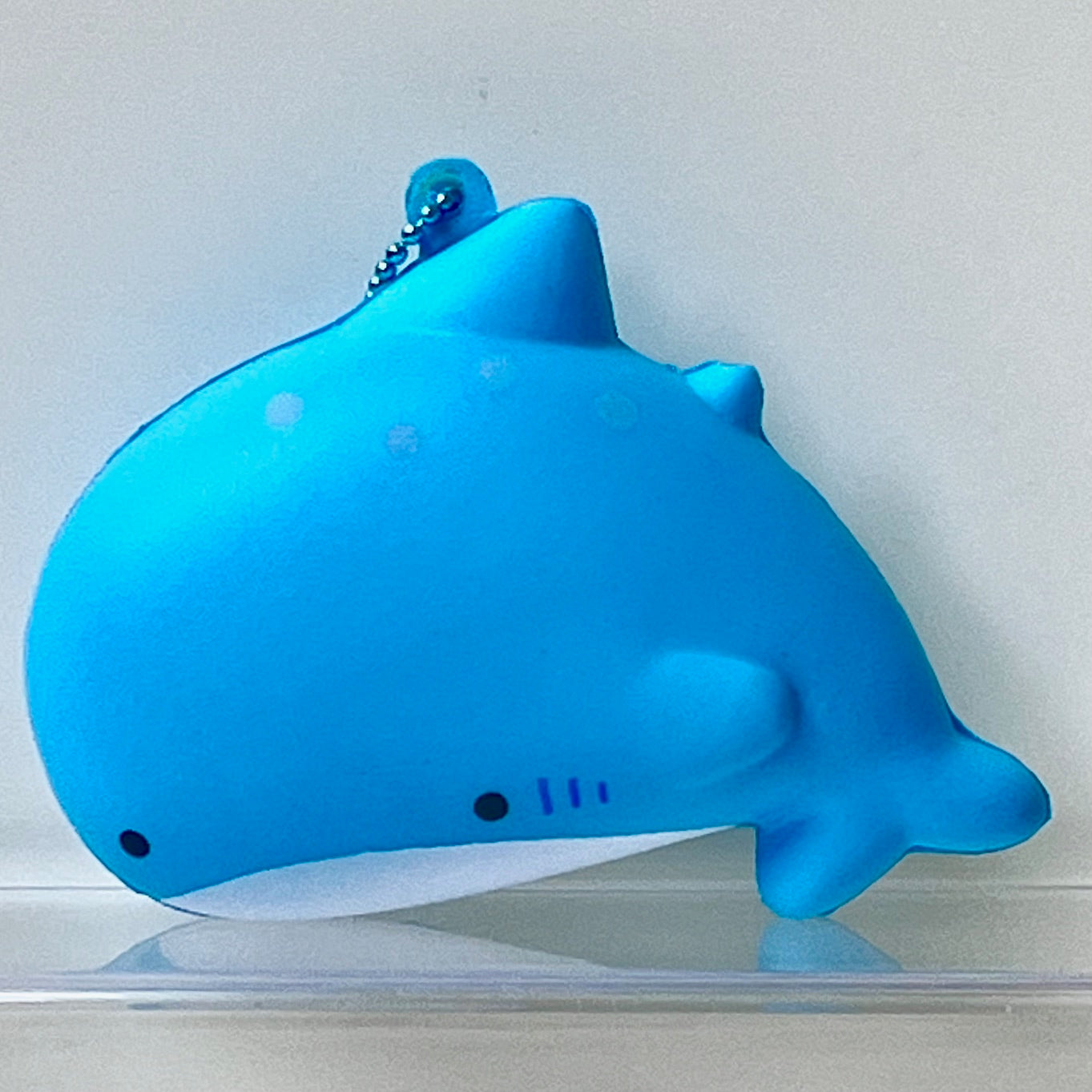 73144 Aquarium Squeeze Blind Box-10