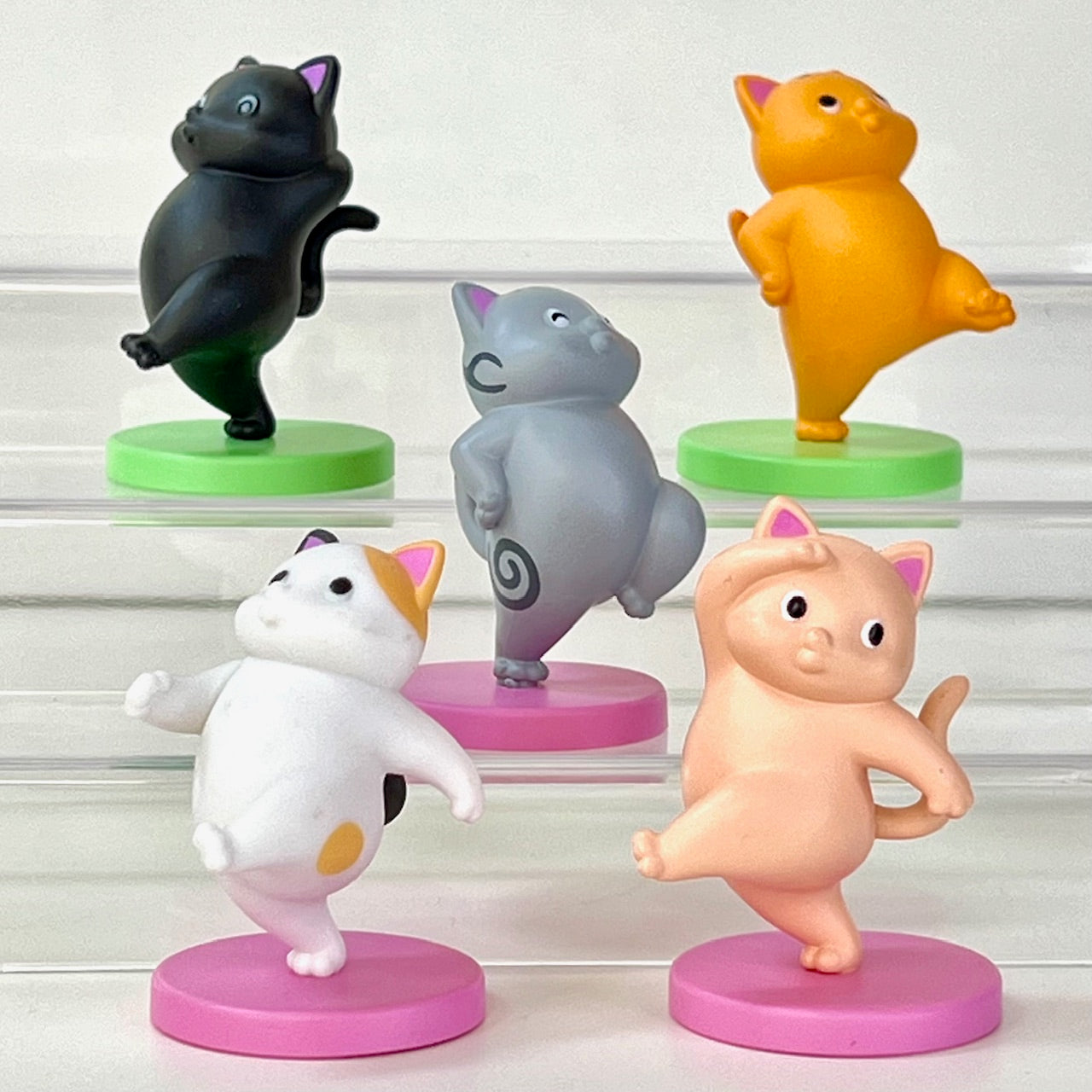 73152 Happy Day Cats Blind Box-10