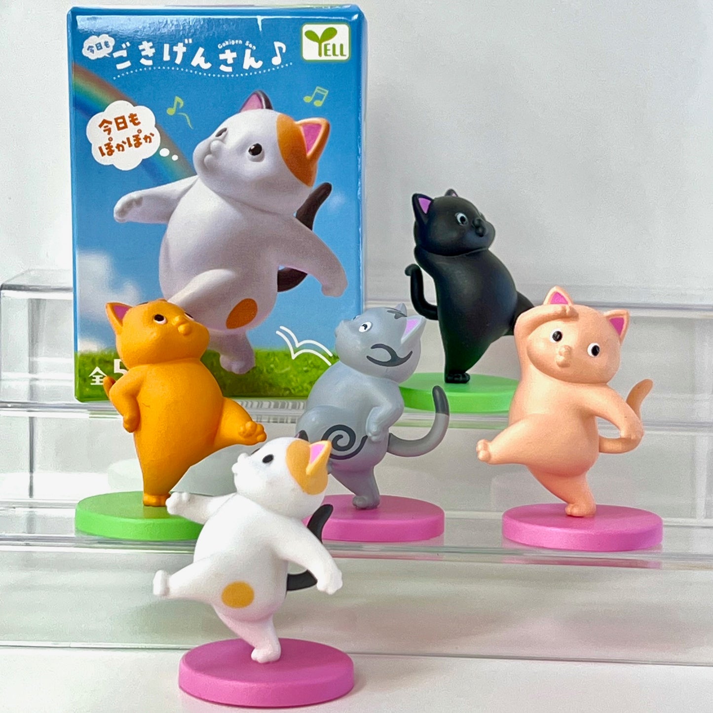 73152 Happy Day Cats Blind Box-10