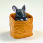 73172 Peeking Chinchilla Blind Box-10