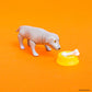 73197 Dog Coco & Bubbie Hello in the World Vol.7 Figurines Blind Box-12