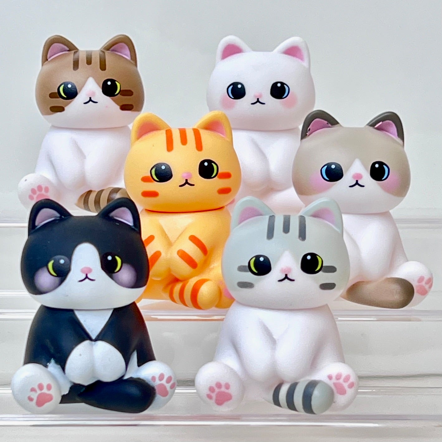 73206 My Po-Cat Blind Box-6