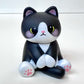 73206 My Po-Cat Blind Box-6