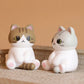 73206 My Po-Cat Blind Box-6