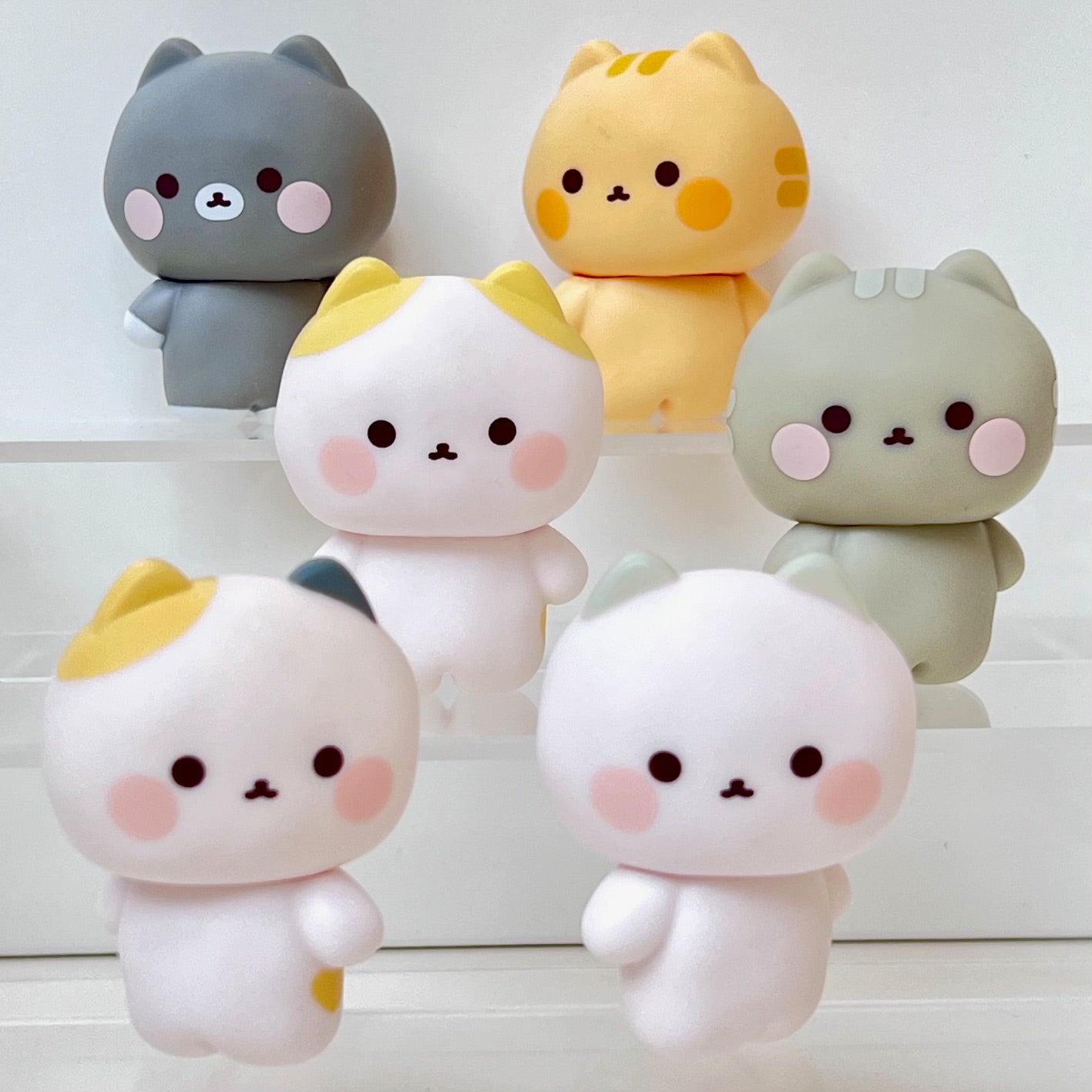 73209 Wuong Cat Blind Box-6