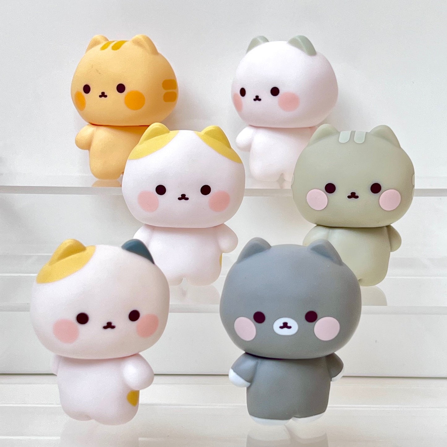 73209 Wuong Cat Blind Box-6