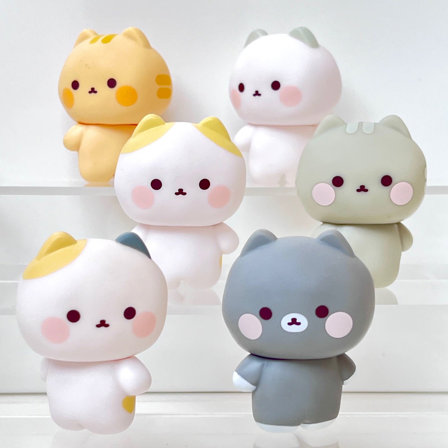 73209 Wuong Cat Blind Box-6