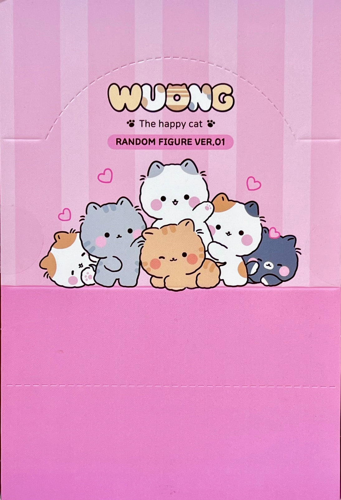 73209 Wuong Cat Blind Box-6