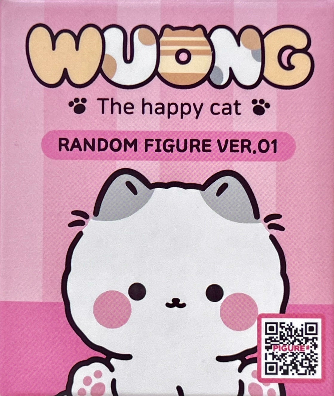 73209 Wuong Cat Blind Box-6