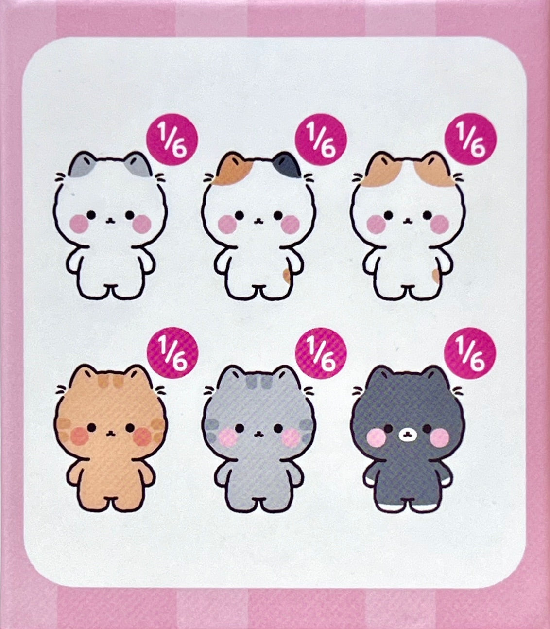 73209 Wuong Cat Blind Box-6