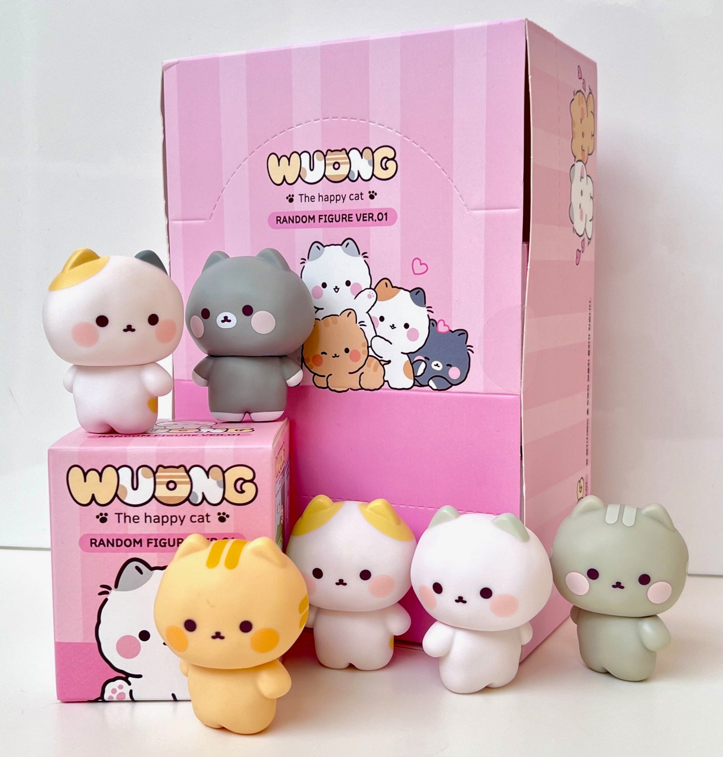 73209 Wuong Cat Blind Box-6